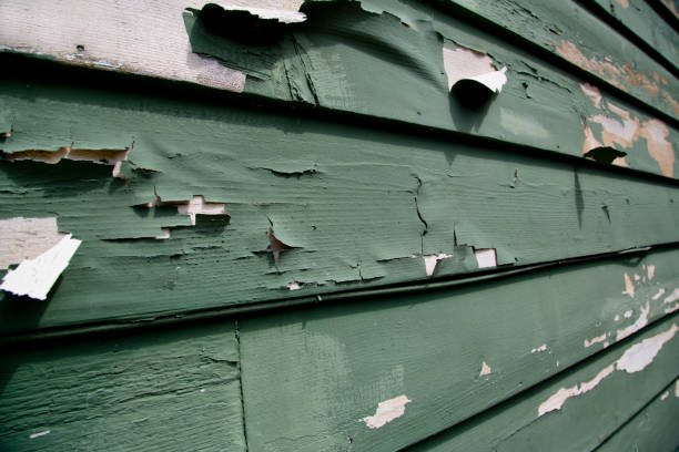 Best Recycling Services for Junk  in Campbelltown, PA